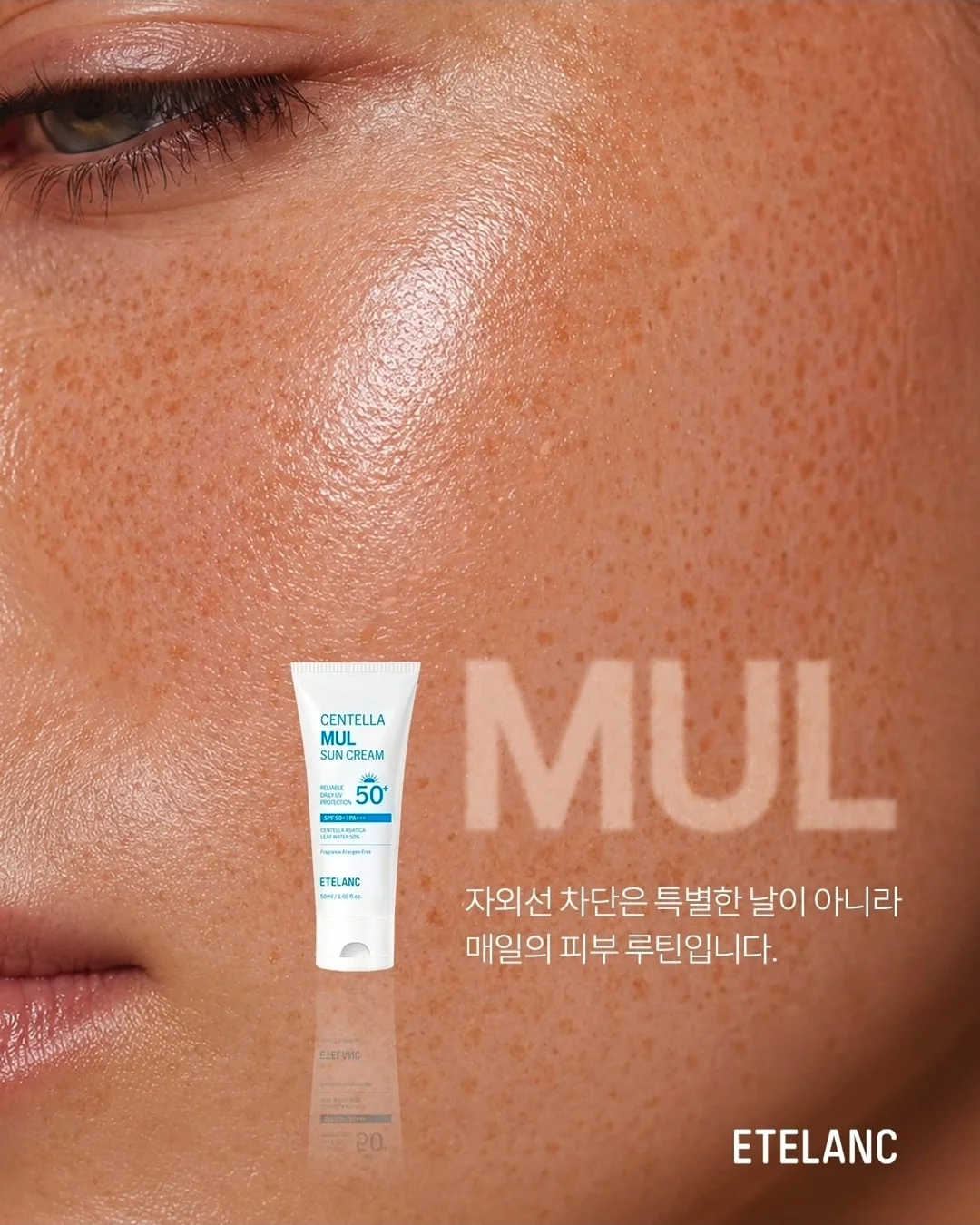 차전자피 식이섬유 1