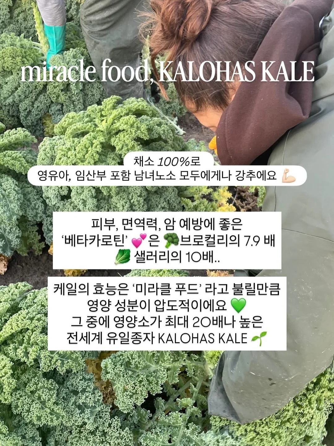 다이소 주방정리템 6