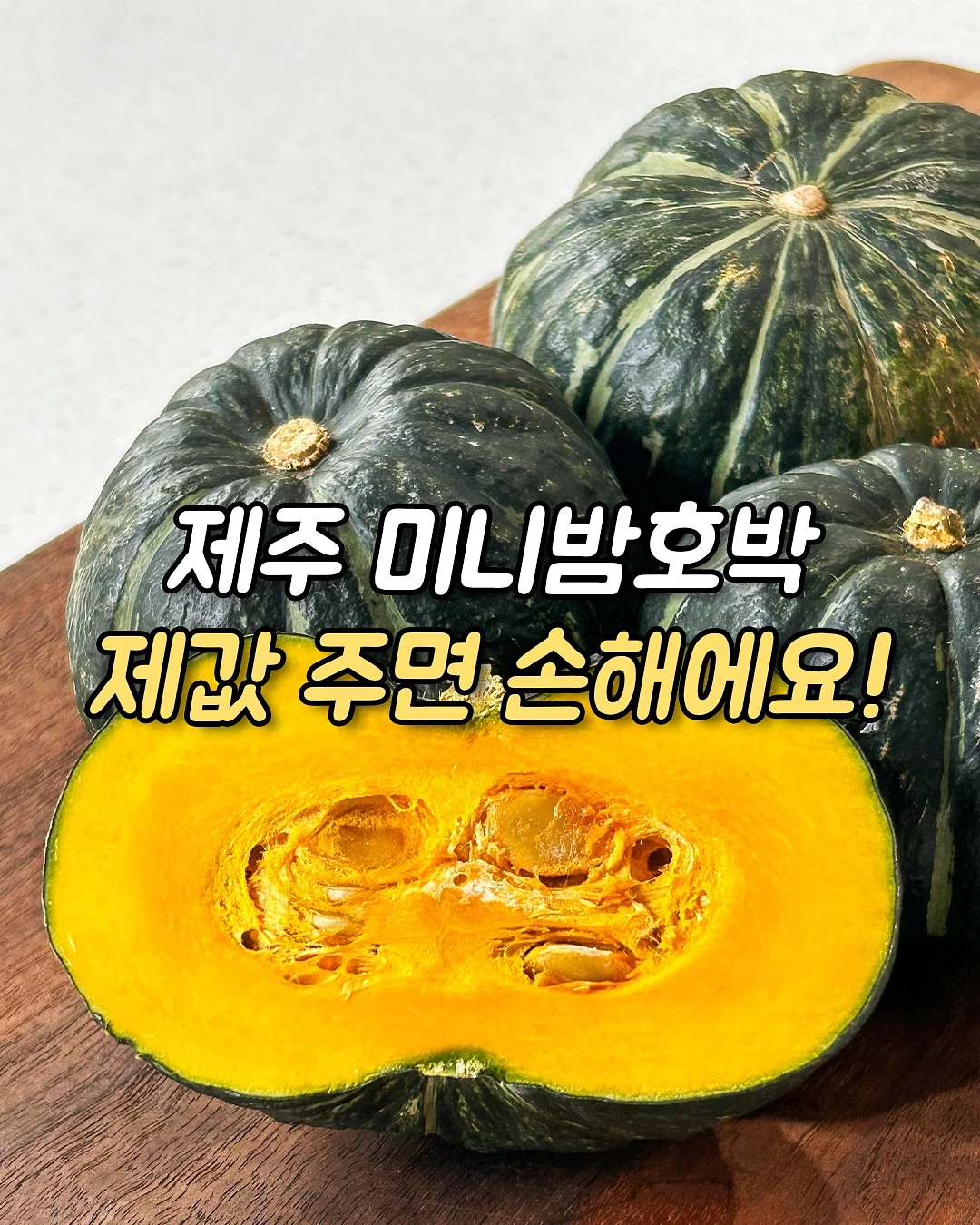 바이탈플랜트 자동회전 롤팬 1