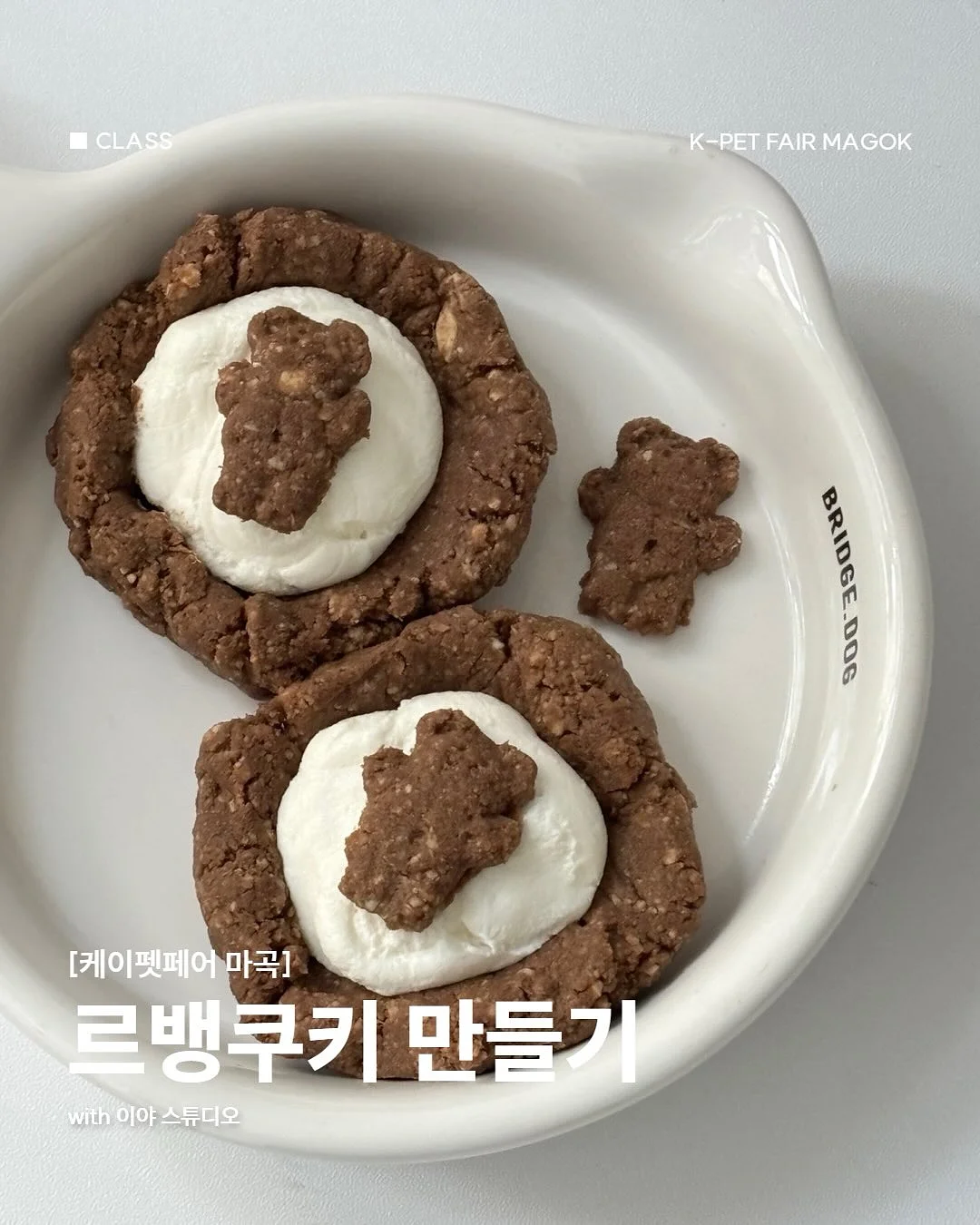 프리다이빙 강사 과정 1