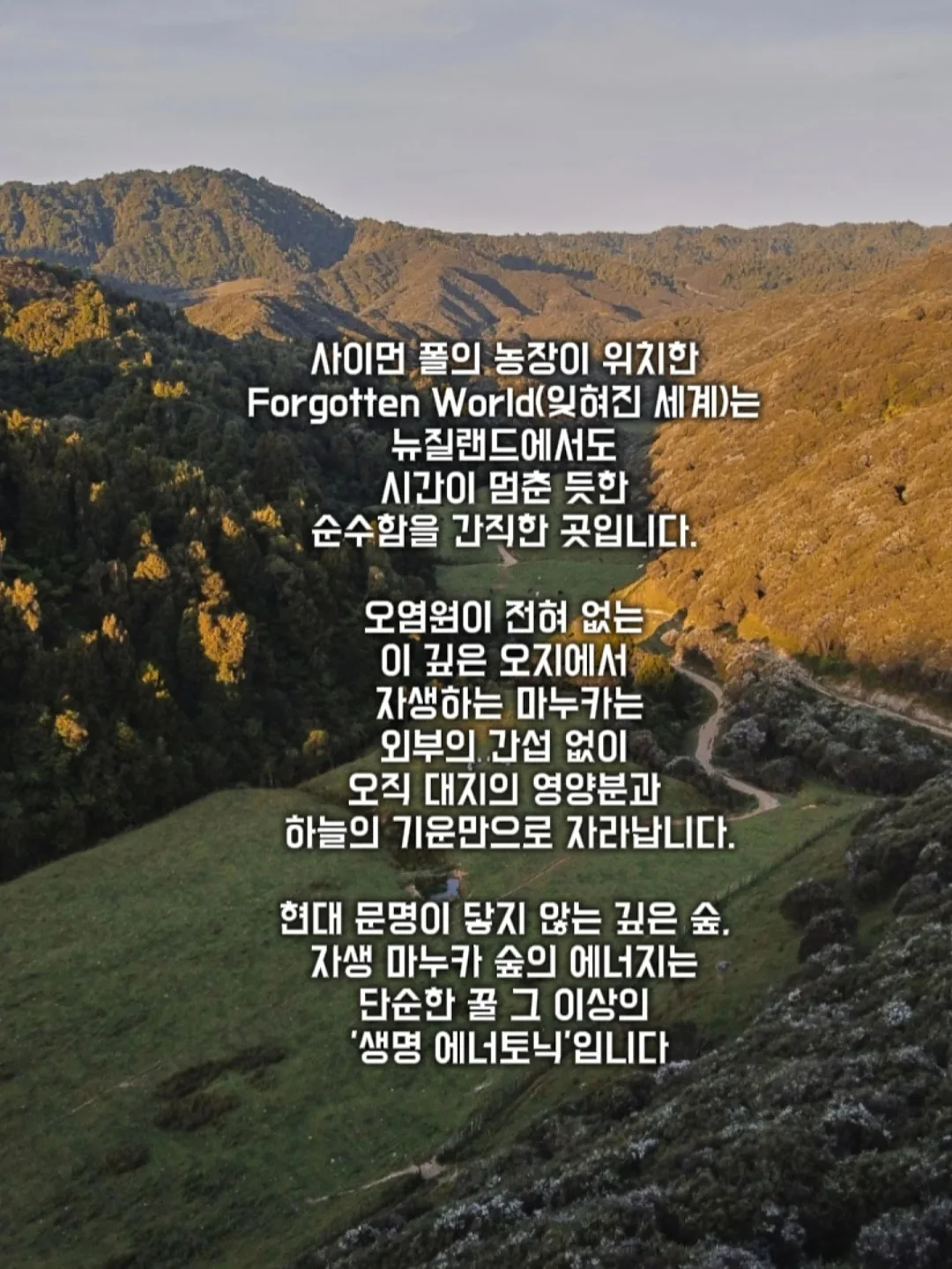 감자 보관 박스 2