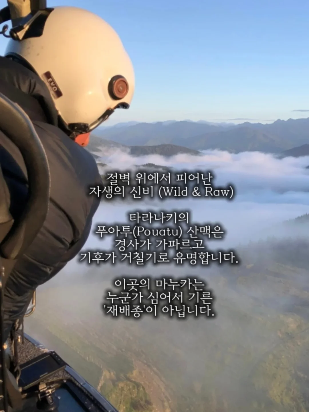 감자 보관 박스 3