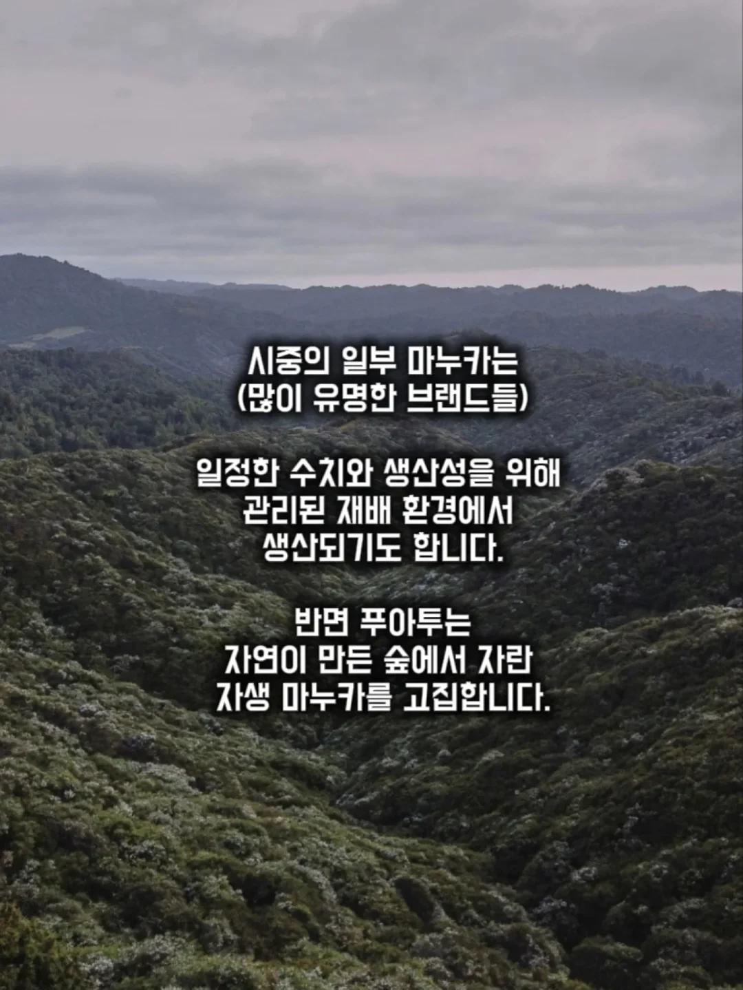 감자 보관 박스 5