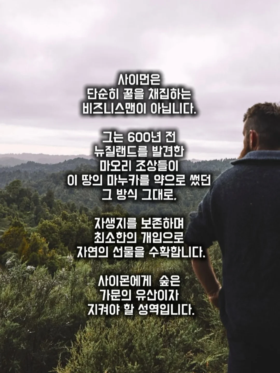 감자 보관 박스 6