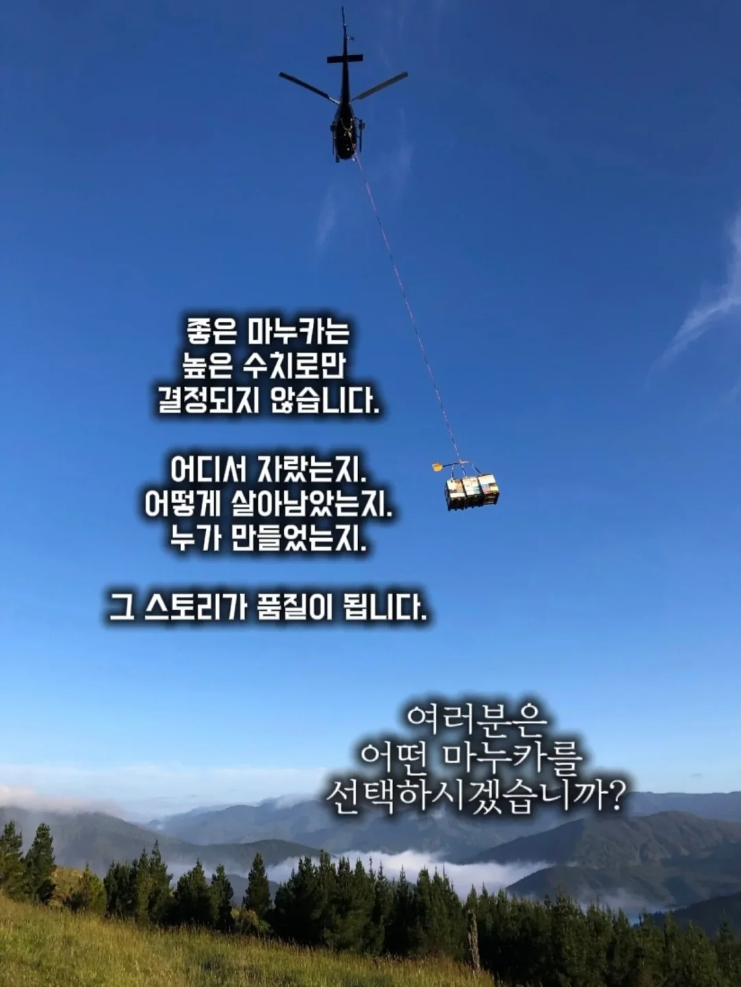 감자 보관 박스 7