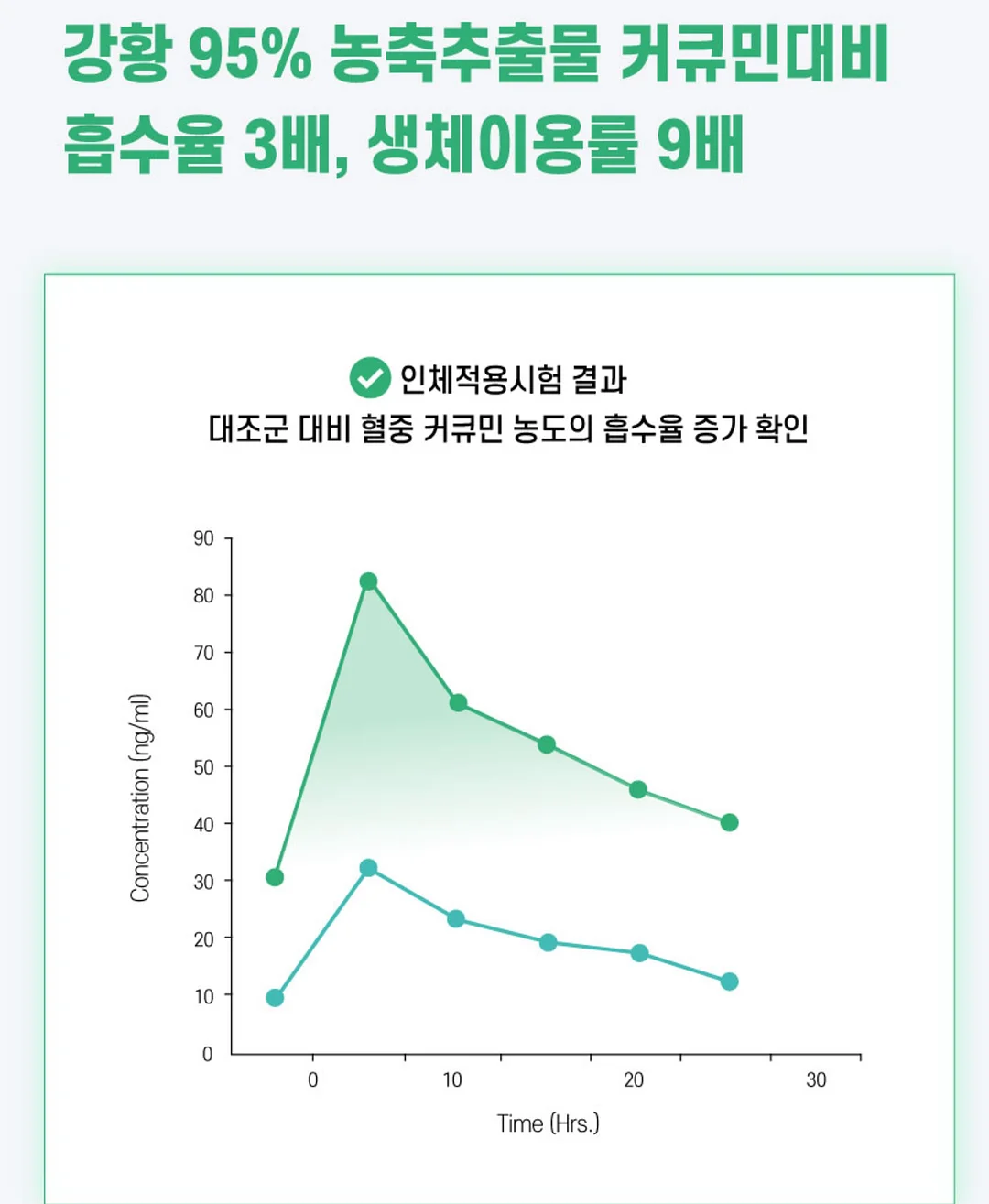 홈페이지 제작 가이드 13