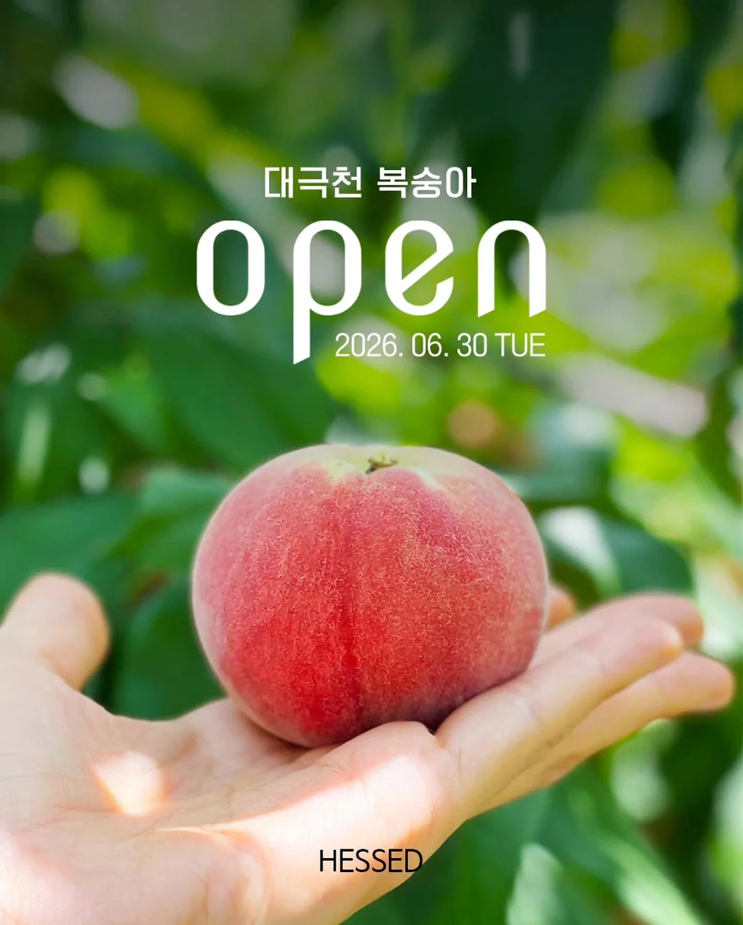 아이 기질 1