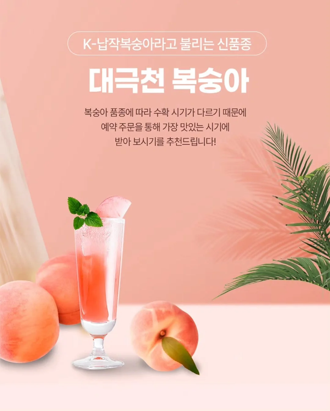 아이 기질 5