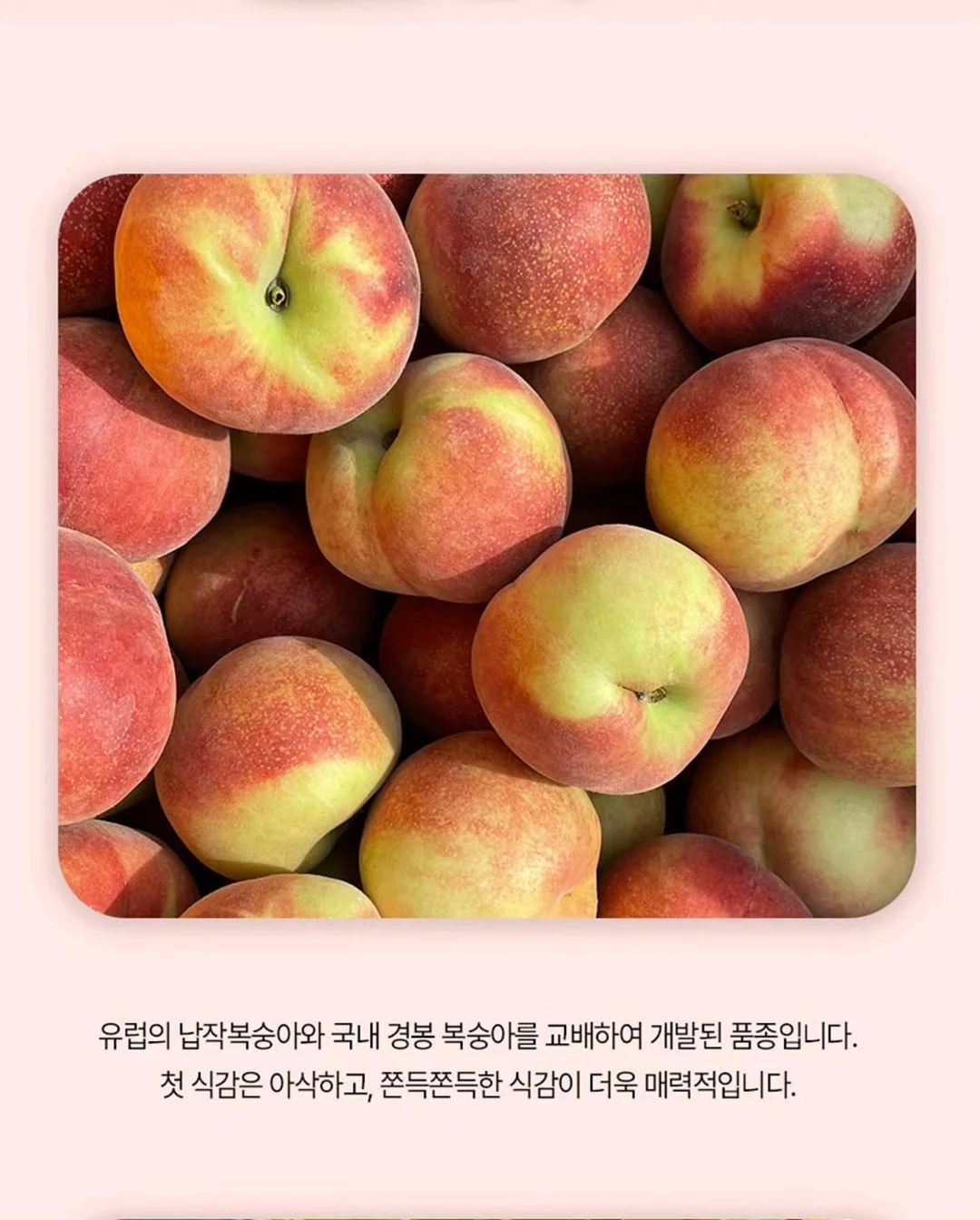 아이 기질 6