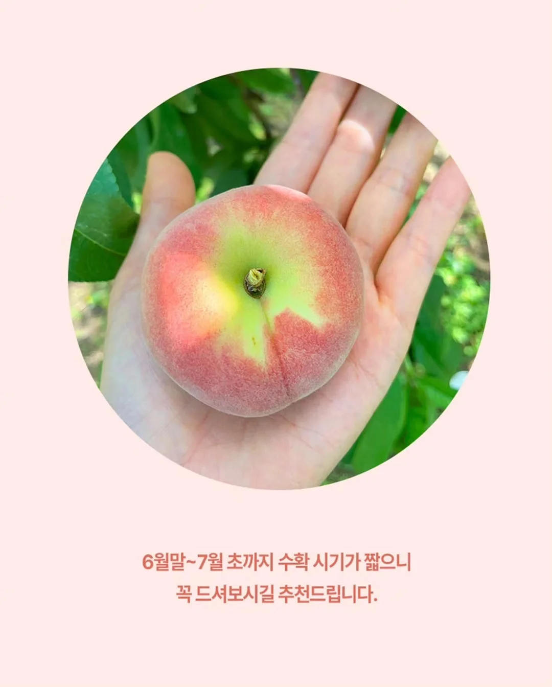 아이 기질 7