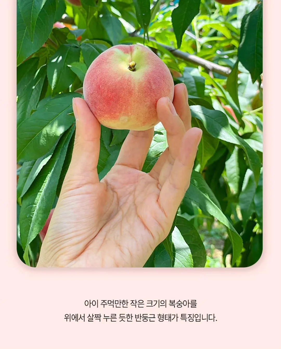 아이 기질 8