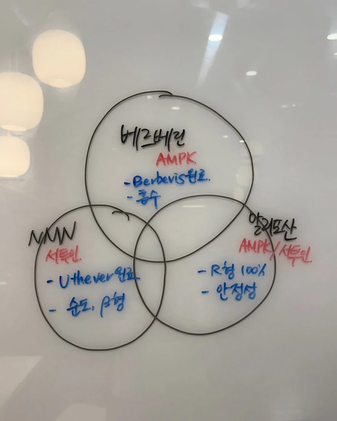 신년 케이크 5