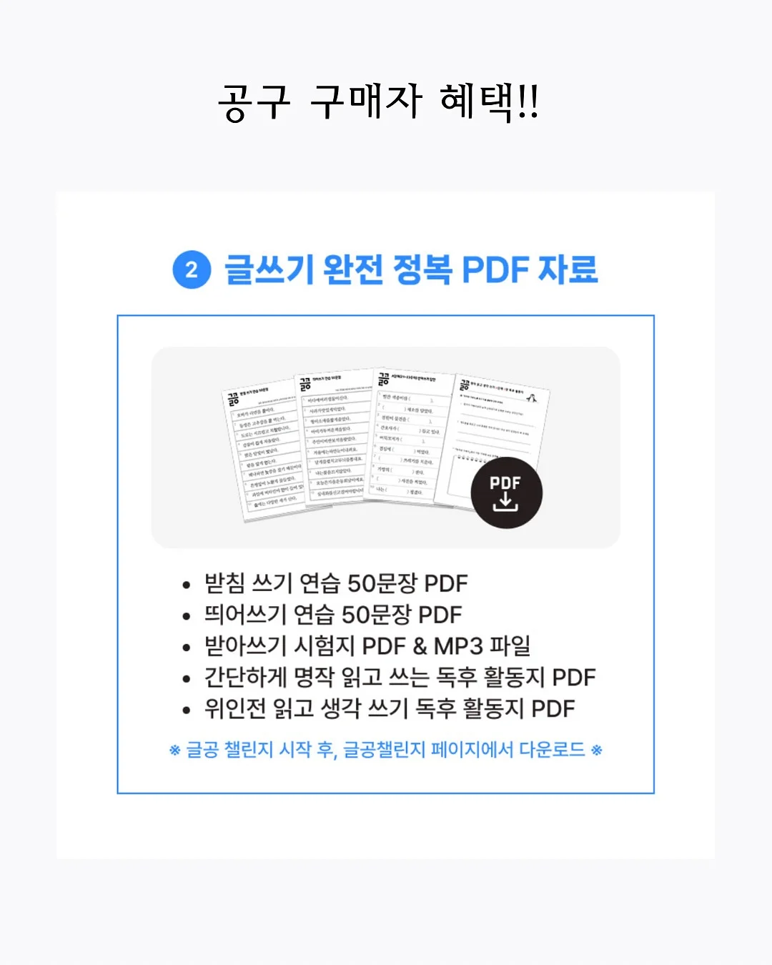 신발 12