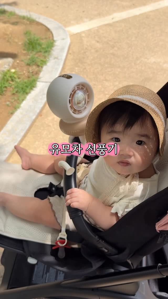 MCT 오일
