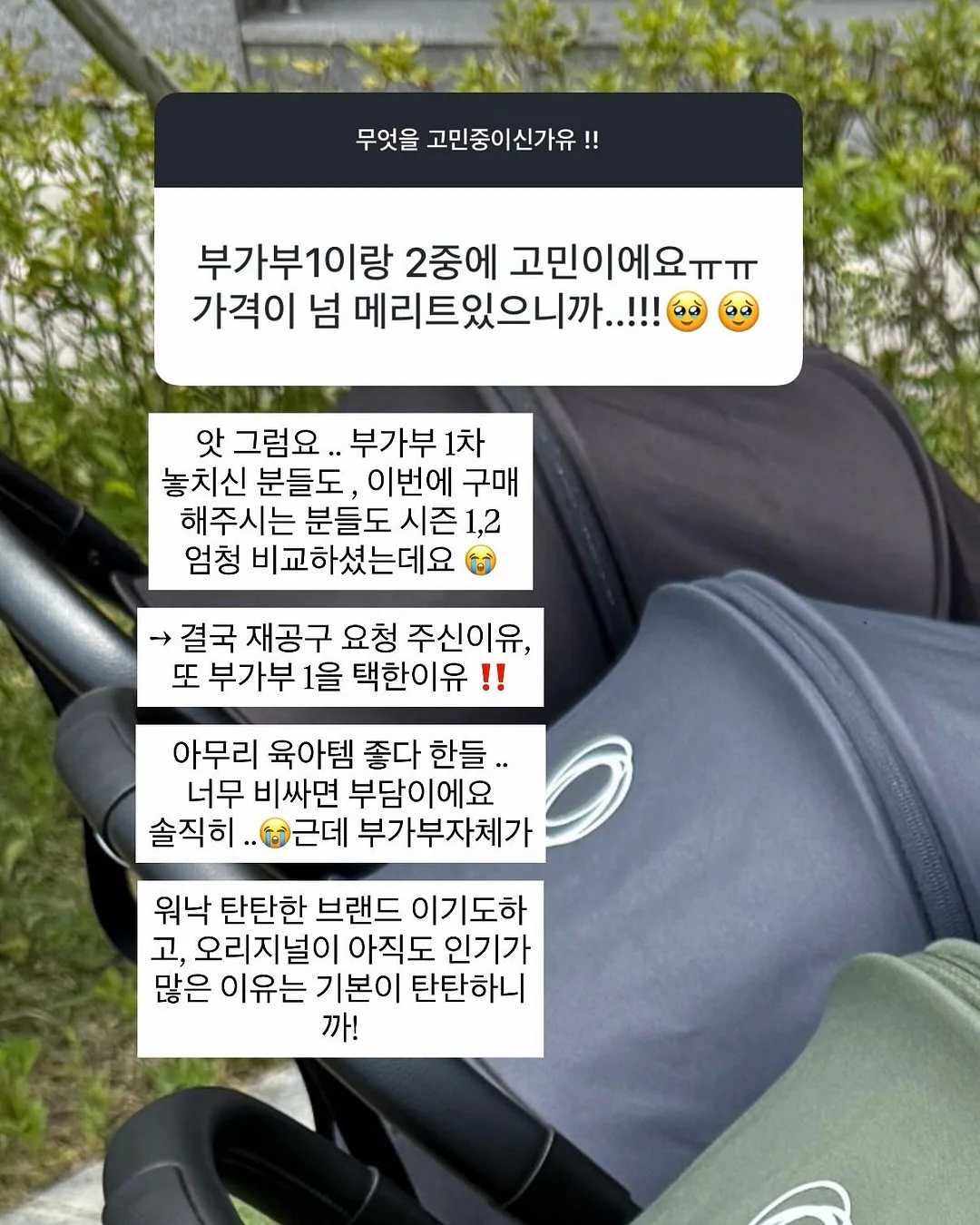 사파리 그림책 1