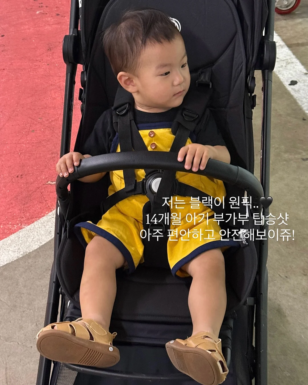 사파리 그림책 13
