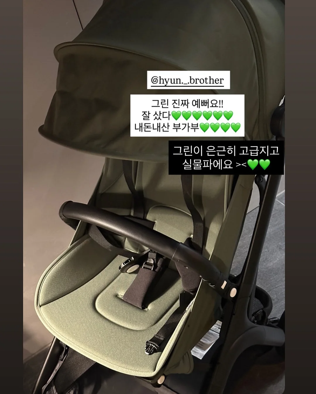 사파리 그림책 3