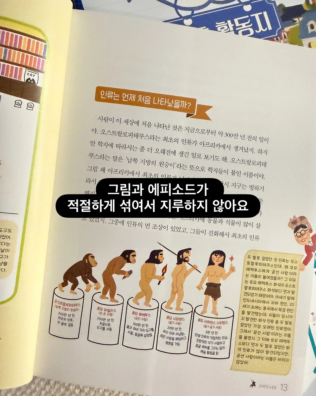 칠리스 치즈스틱 8