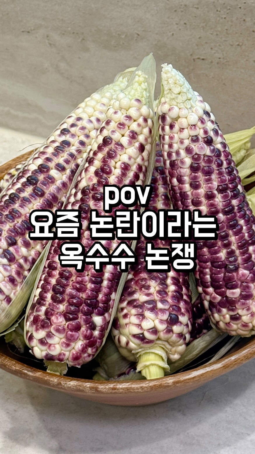 야외 피크닉 추천템
