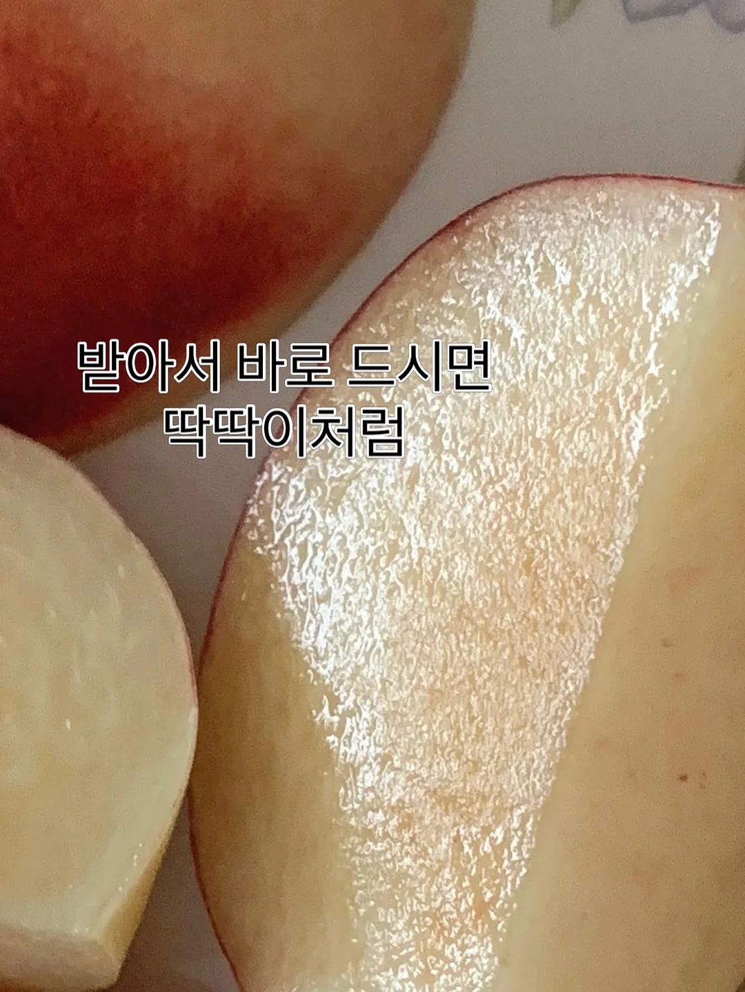 싱글 배드민턴 4
