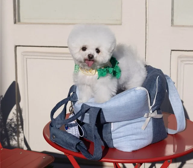 모자 5