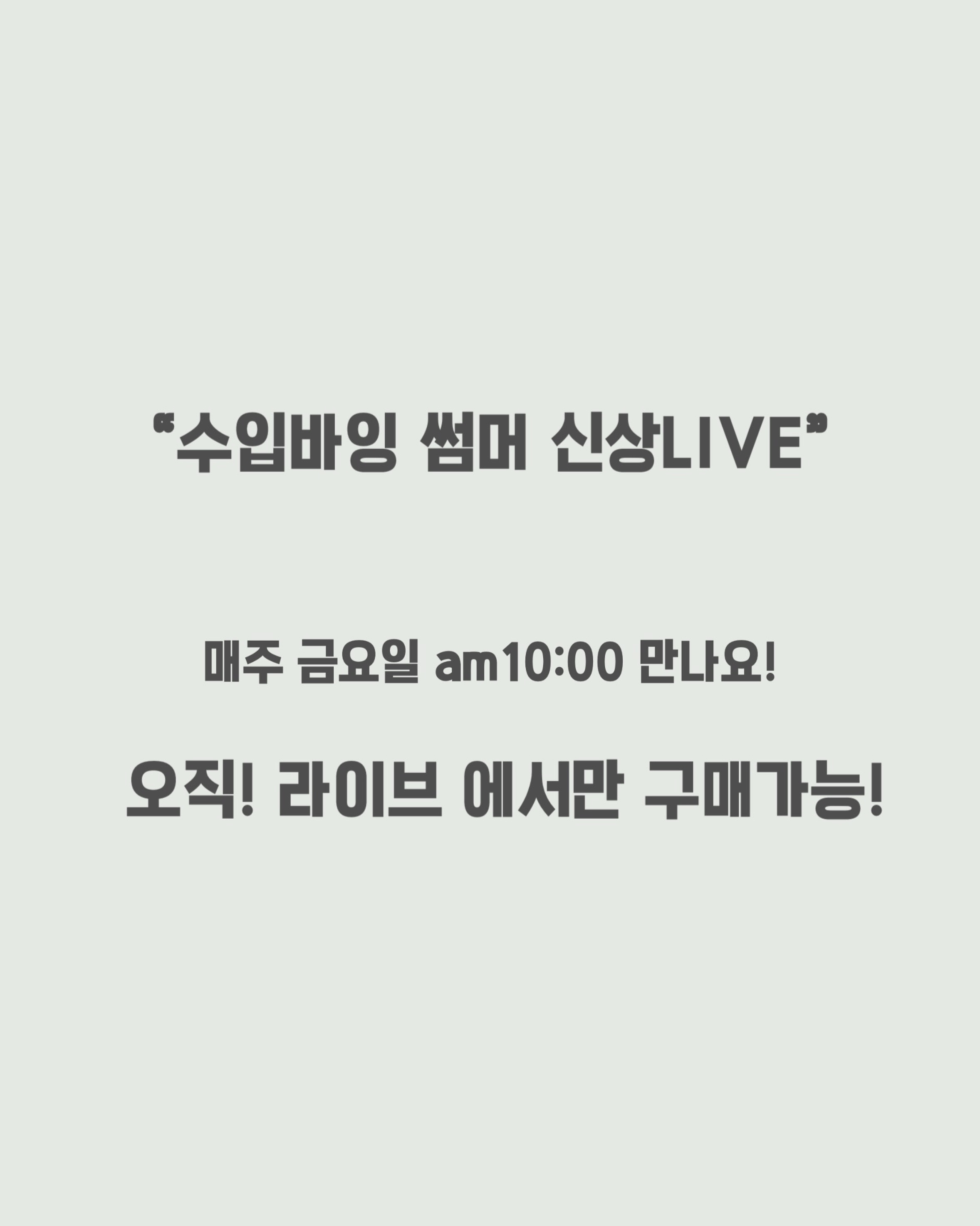 슈미즈 블랭킷