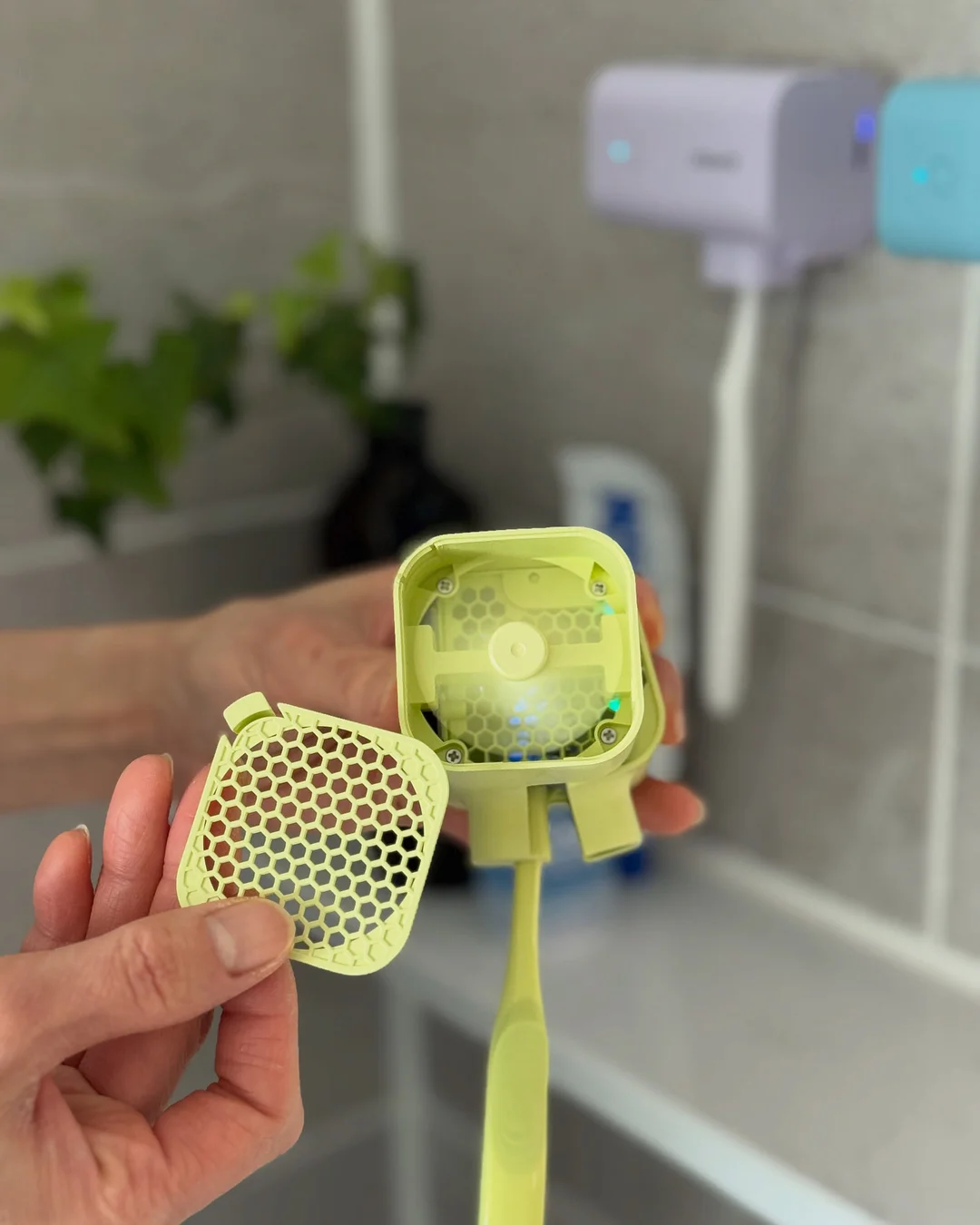 백억닭발 6