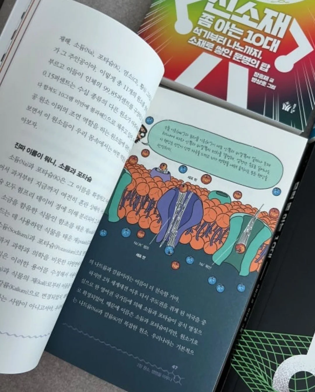 쌍둥이 돌한복 9