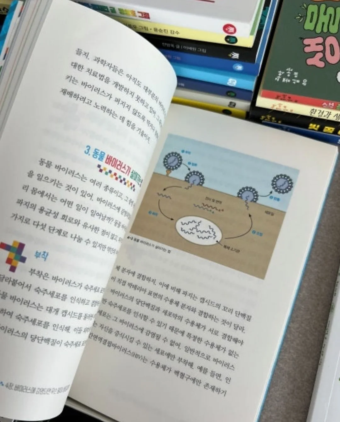 쌍둥이 돌한복 10