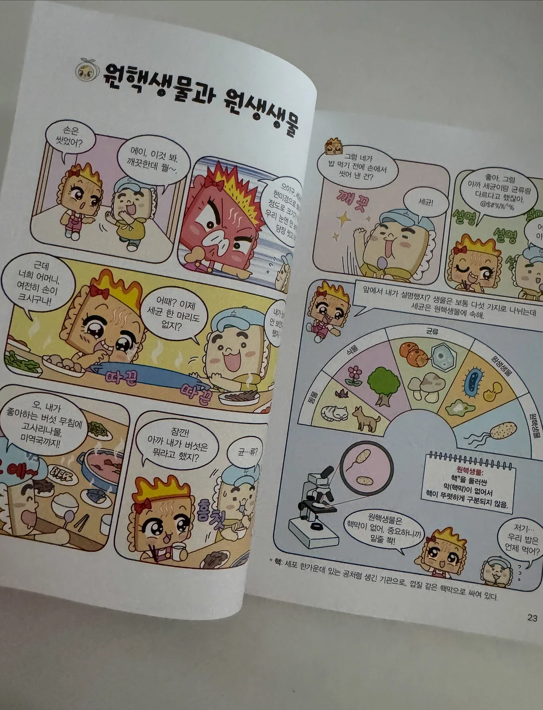 메뉴 디자인 6