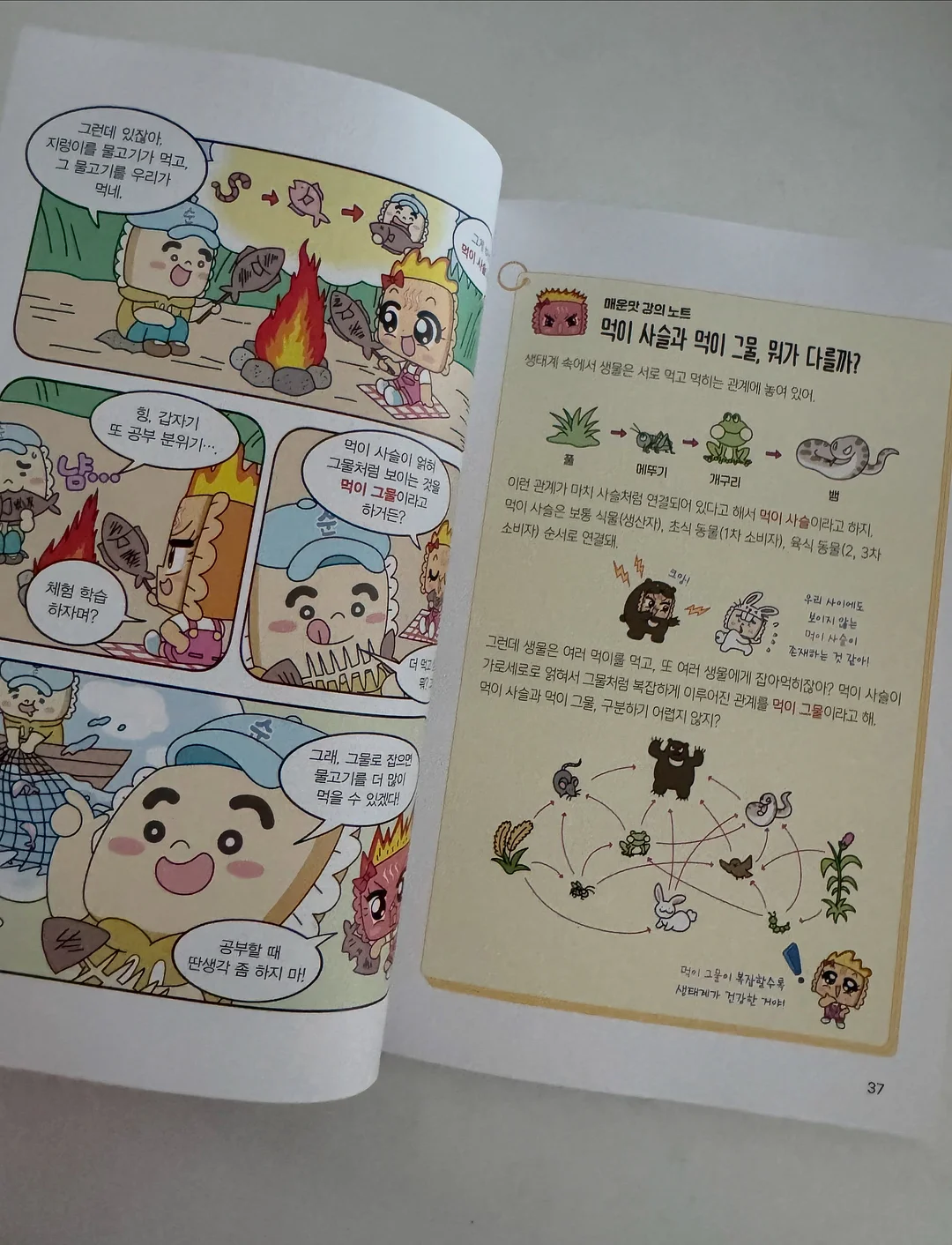 메뉴 디자인 7