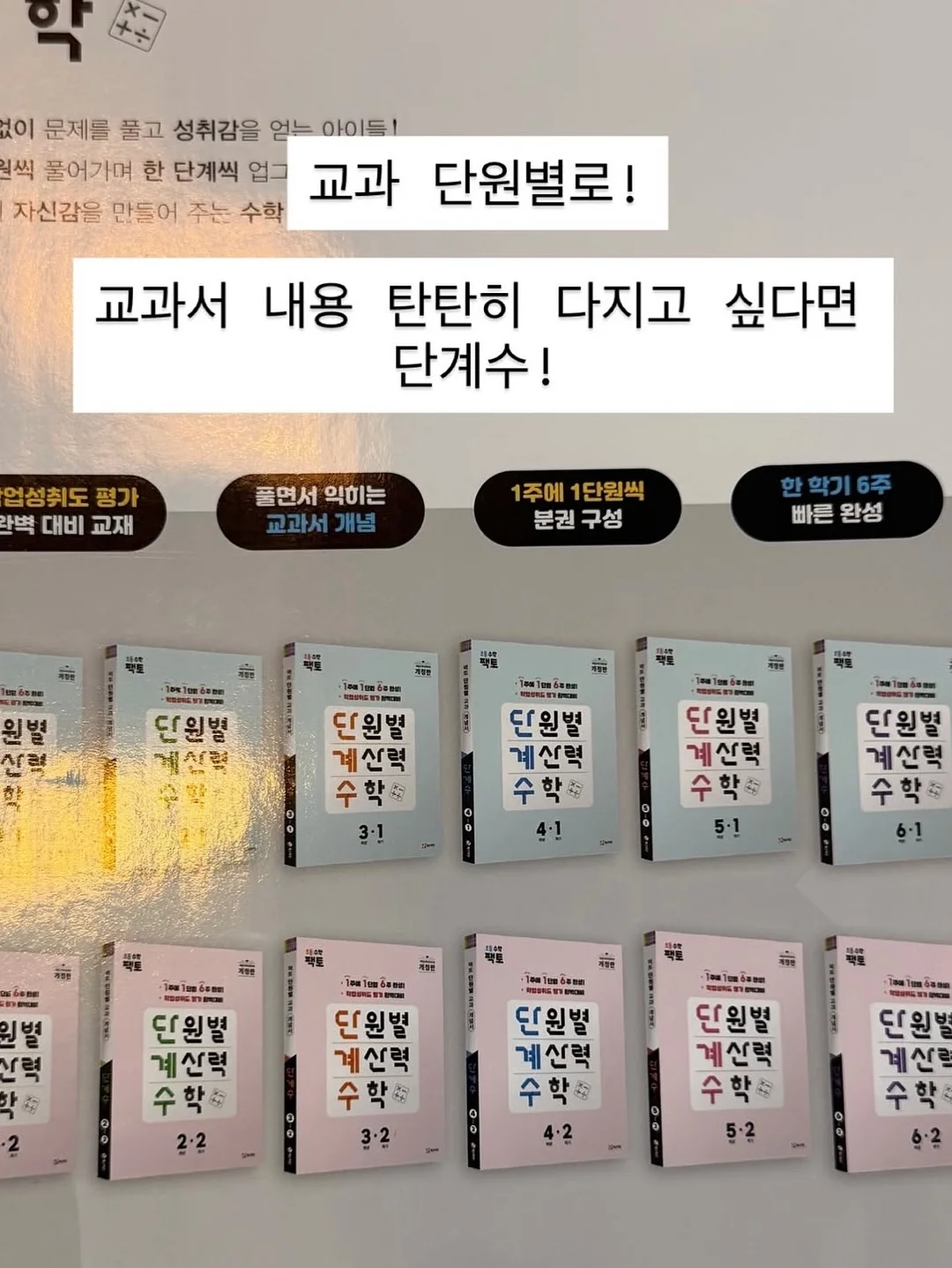 봄멸치 8