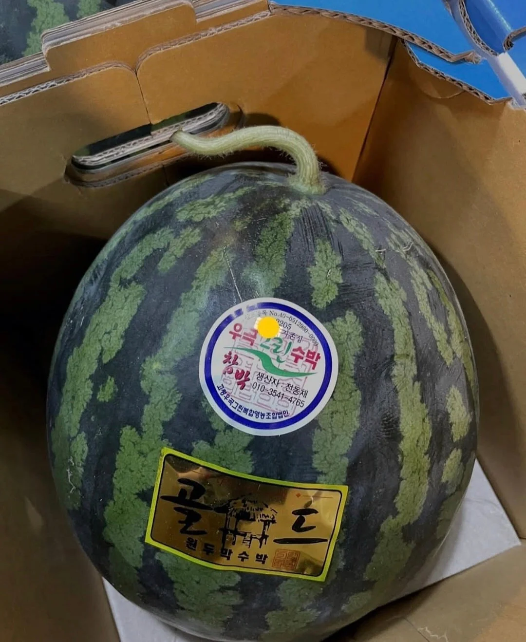 도형 단원 시험 대비 학습법
