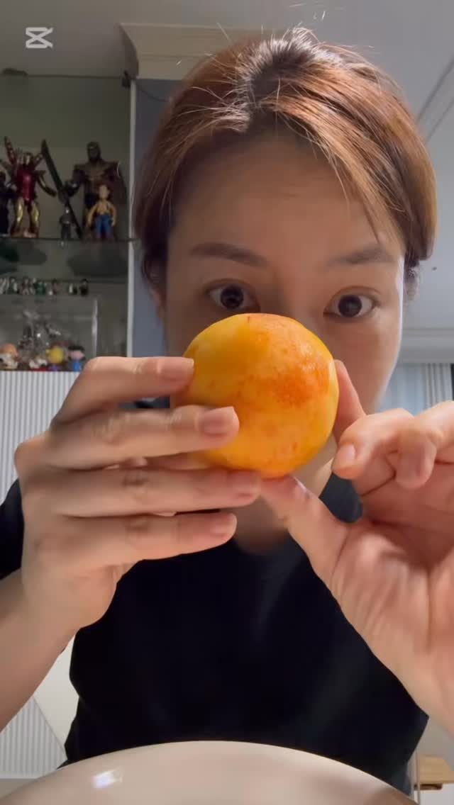 다용도 수세미