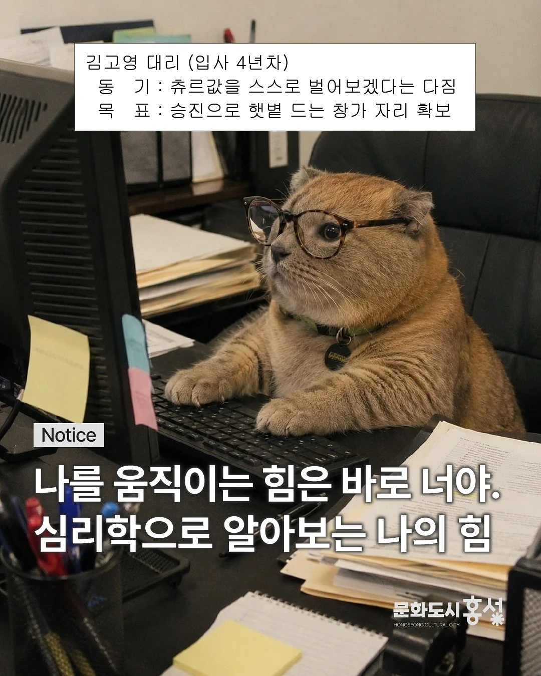 결국 사랑받는 1등의 언어 1