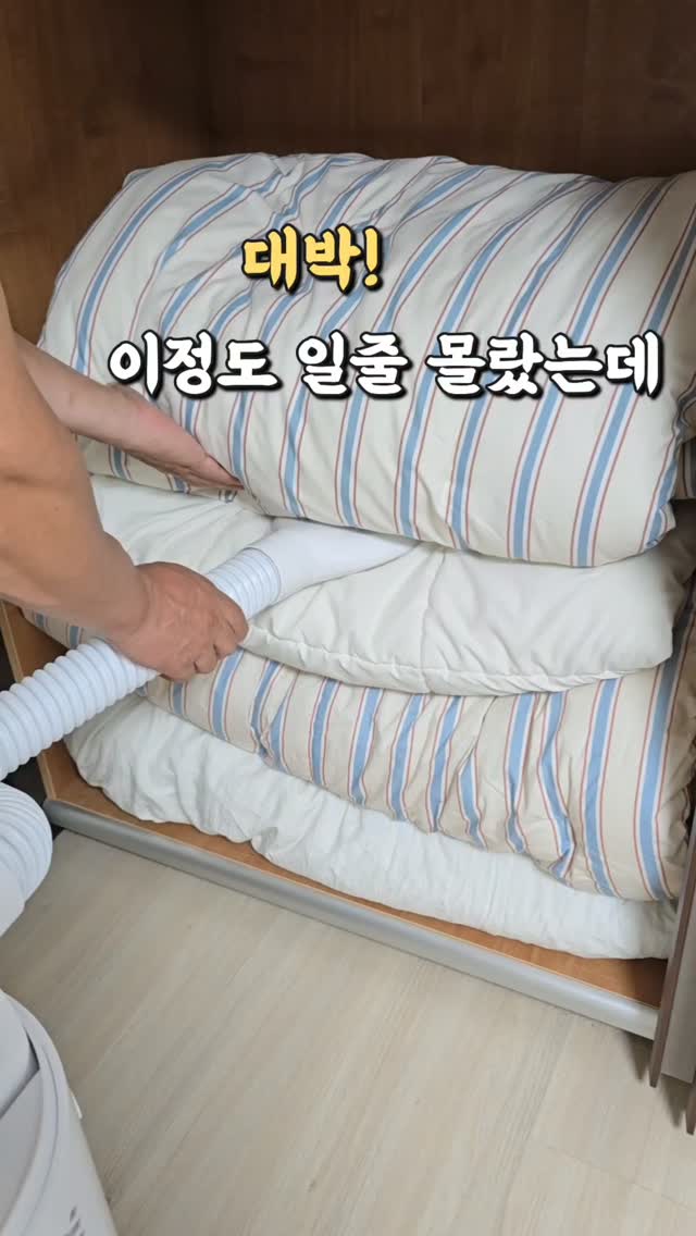 바운티풀 폴라온 아이스 여름 접촉 냉감 패드