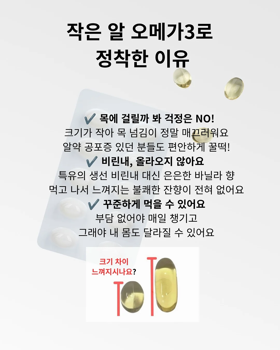 서울 쿠키 6