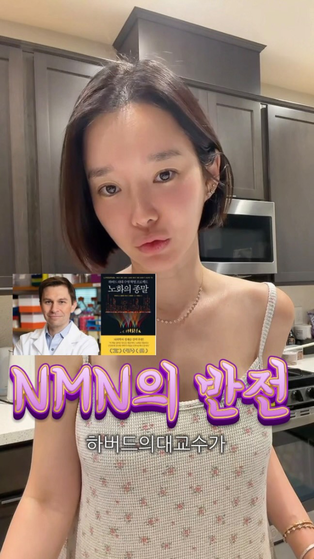 잉글레시나 퀴드3 휴대용 유모차