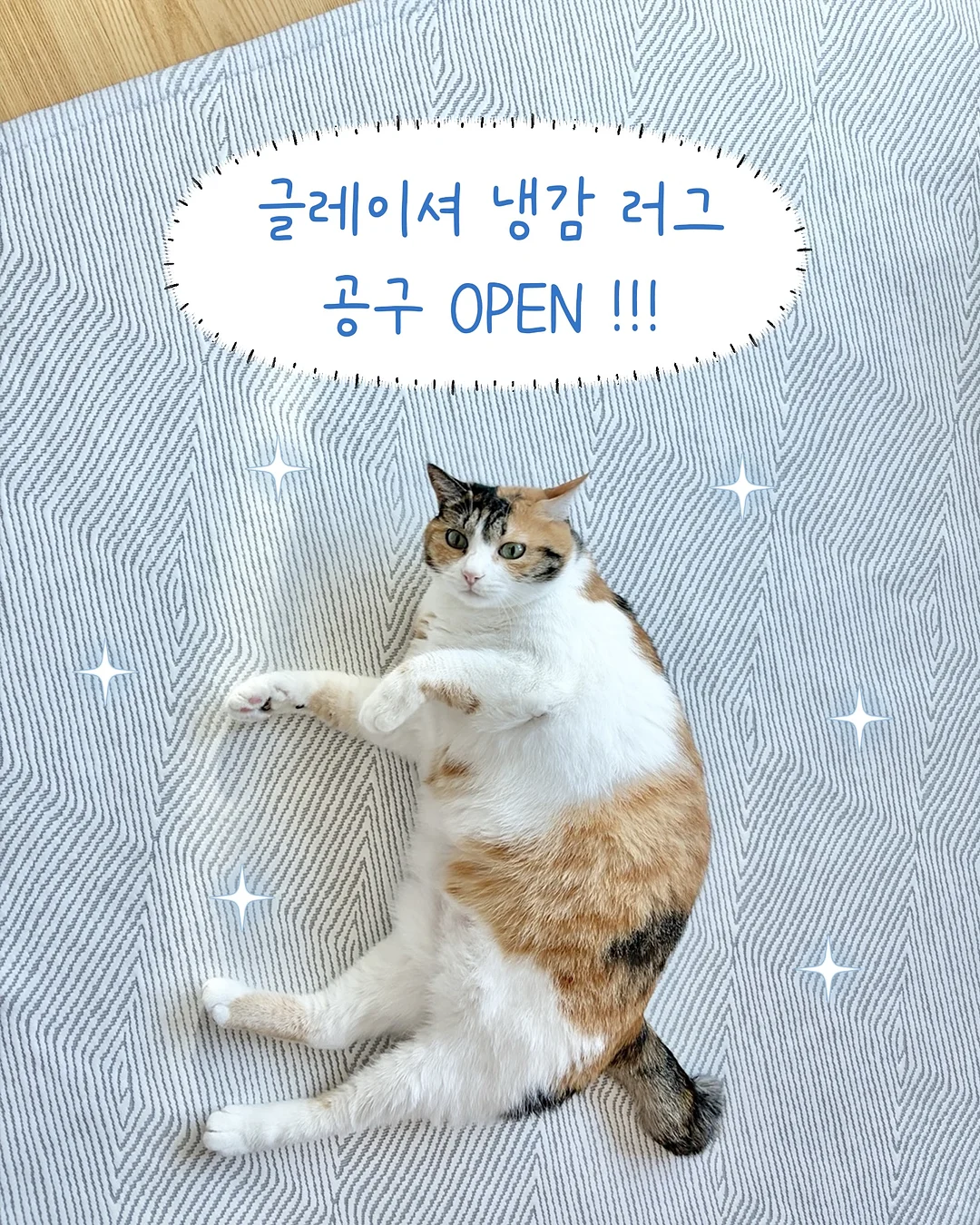 신상 제품 1