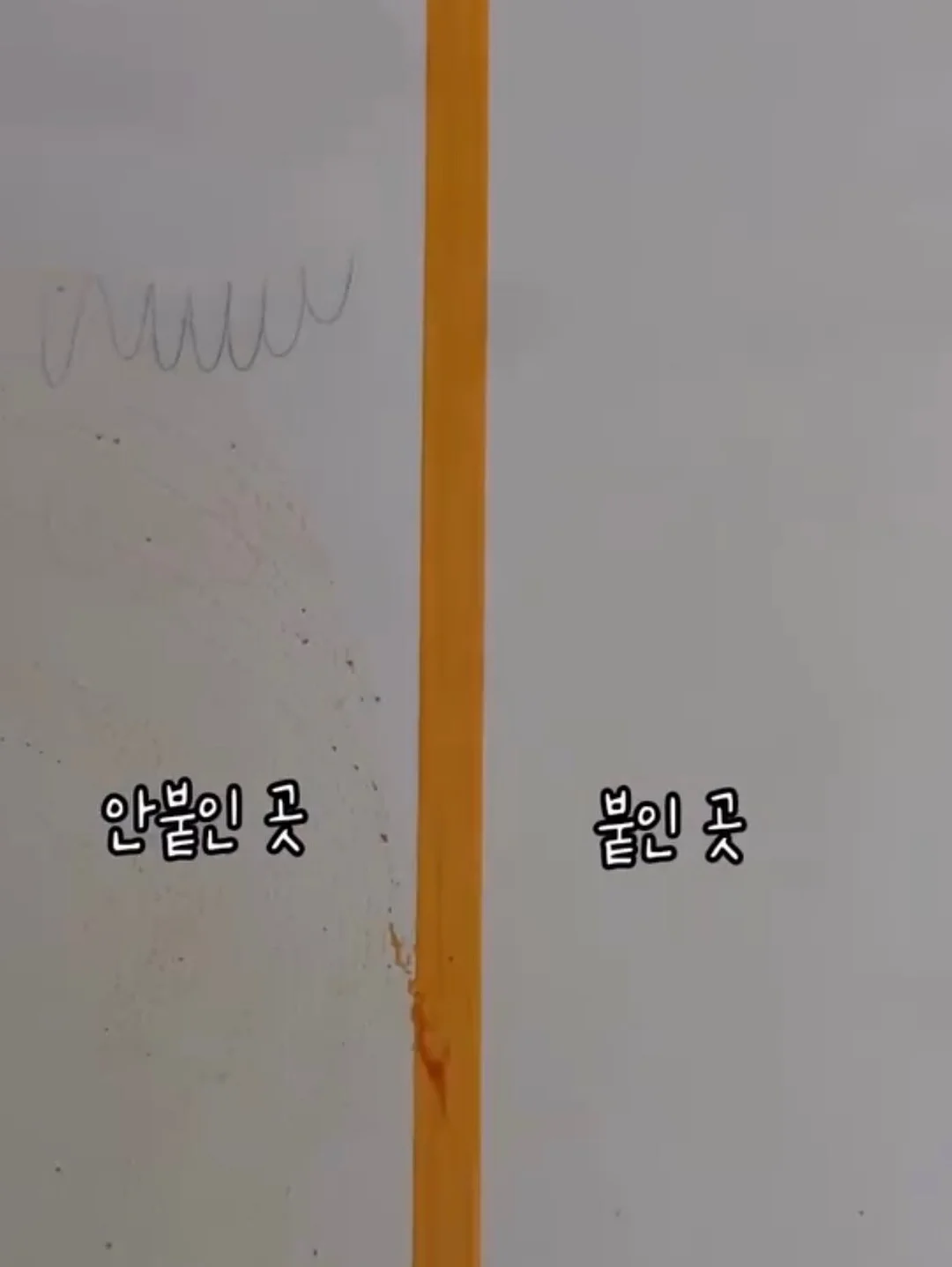 타밈 캐미 젤리 브라 11