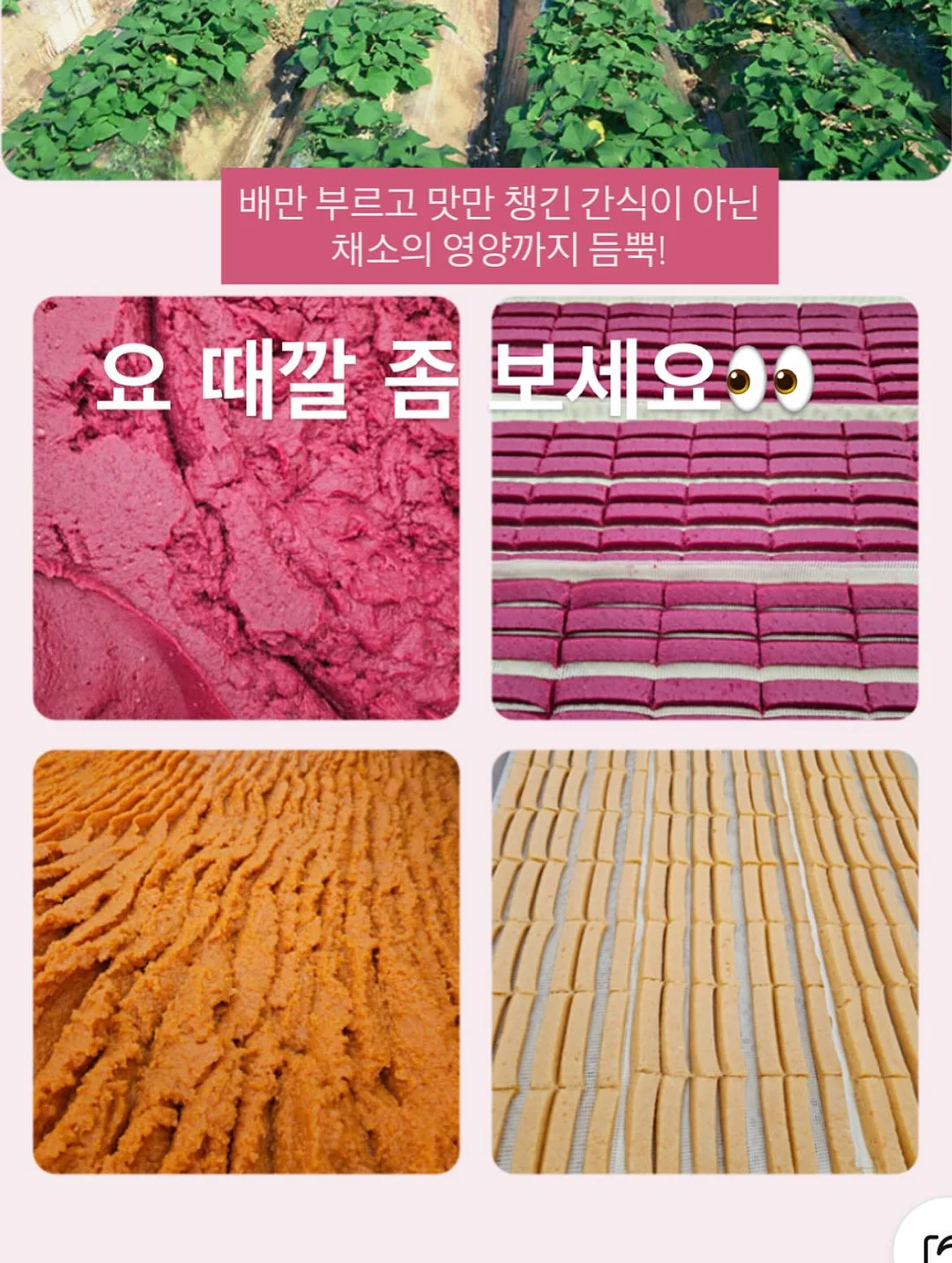 하네스 6
