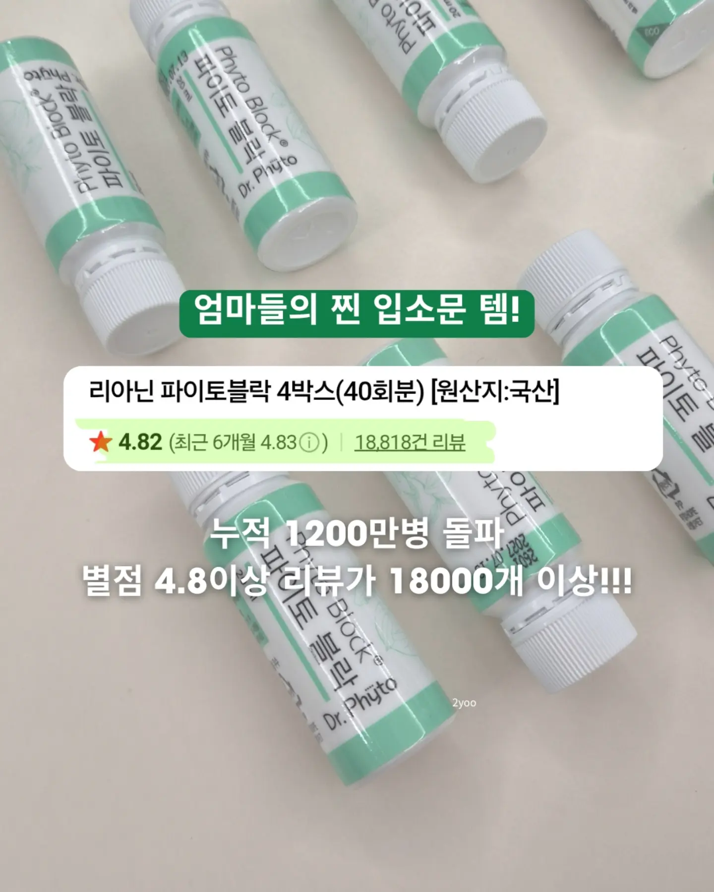 비키니 2