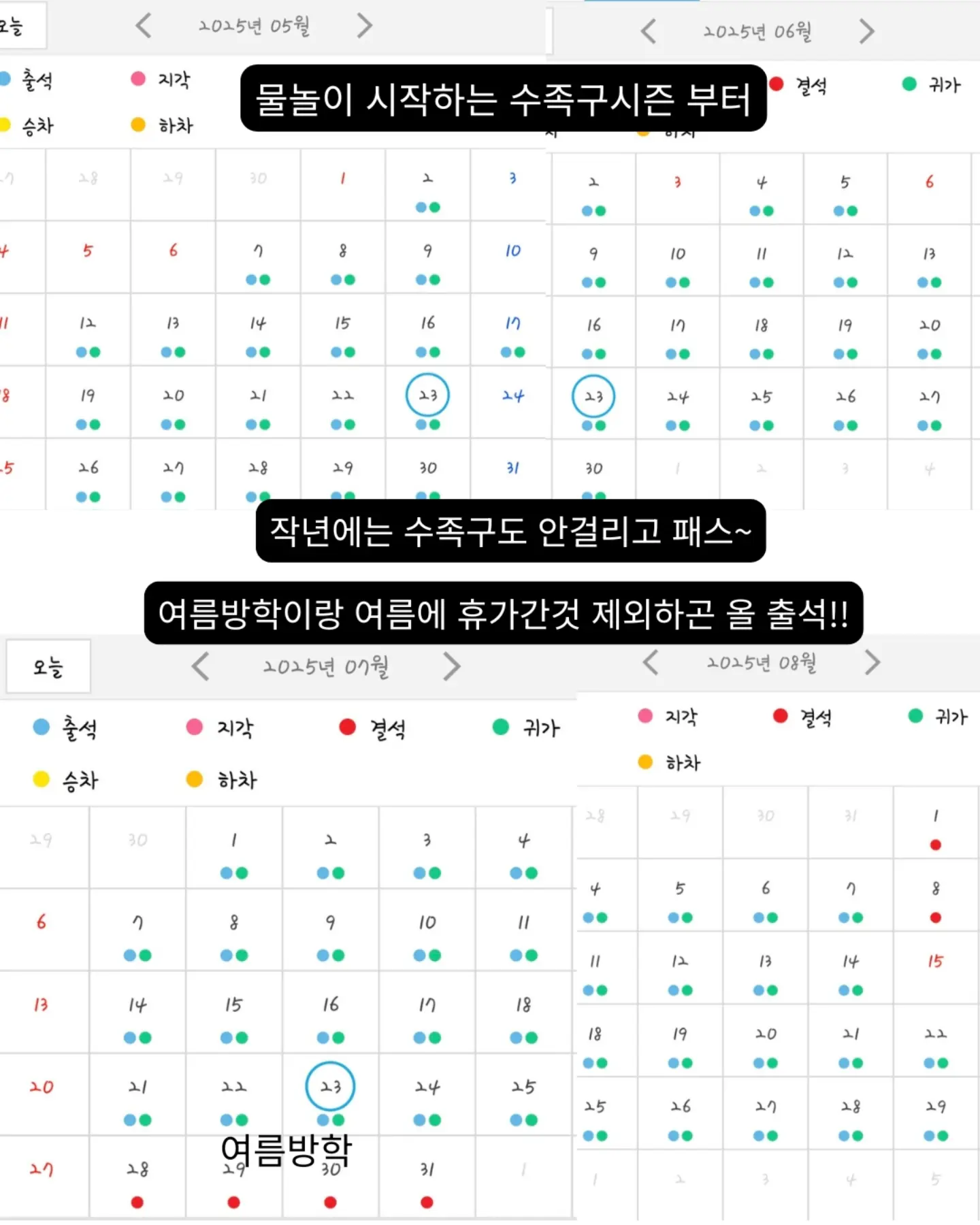 비키니 5