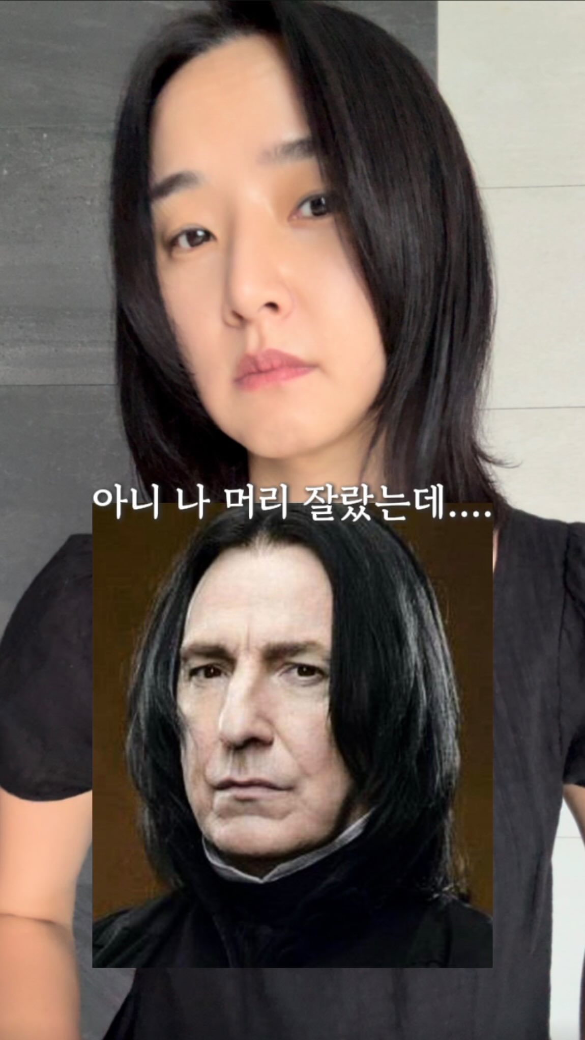 고밀도 핸디형 먼지털이