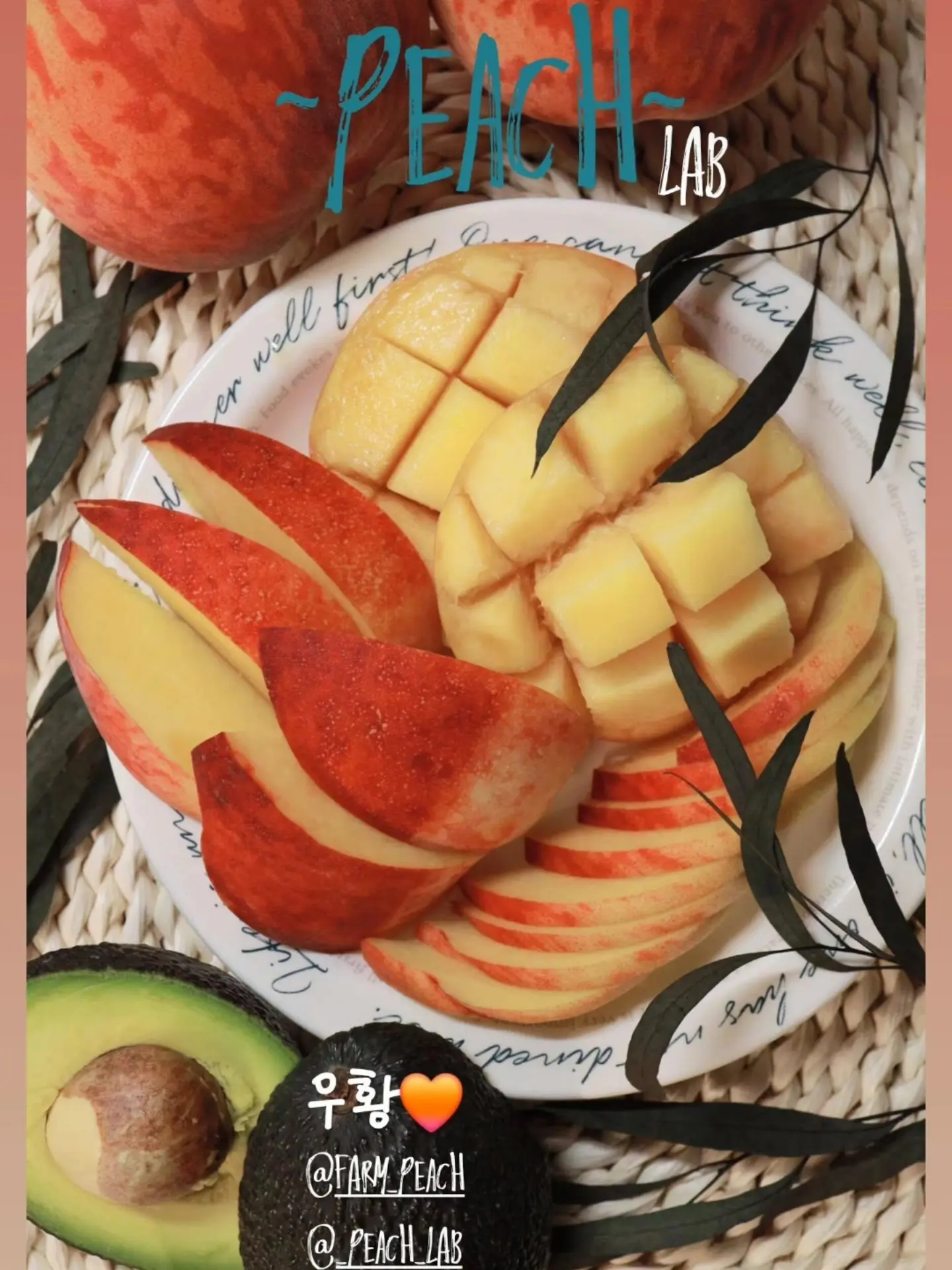 수납존 옷 정리 6