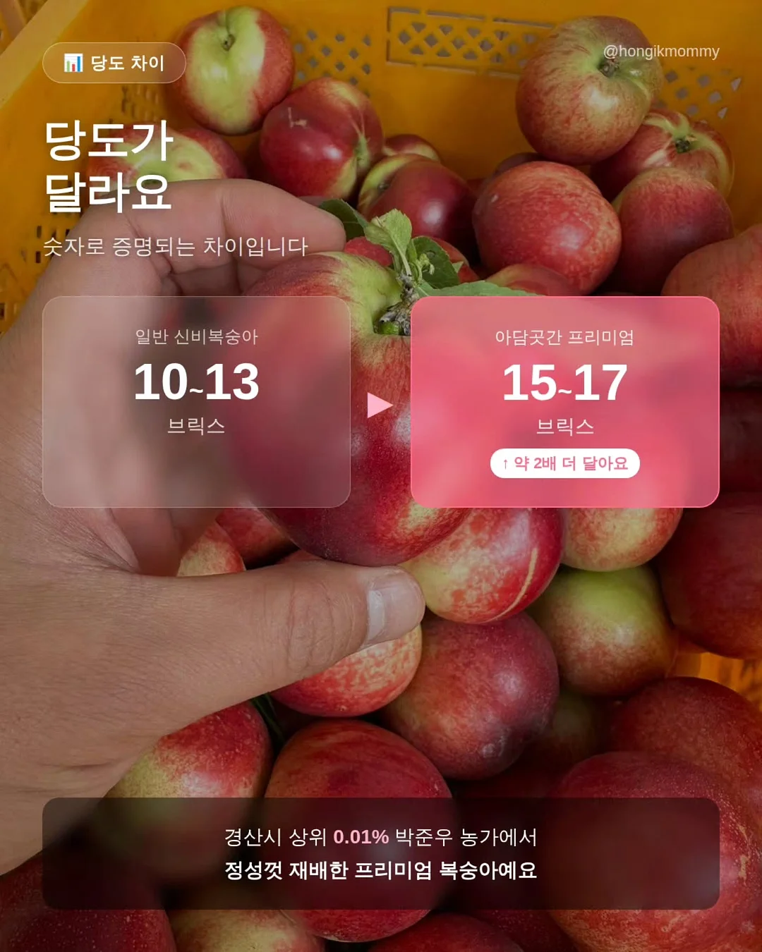 시스루 셔츠 7