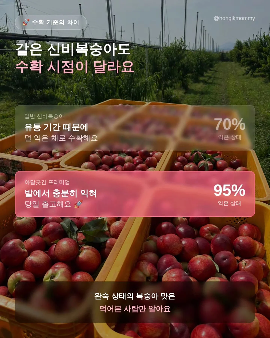 시스루 셔츠 8