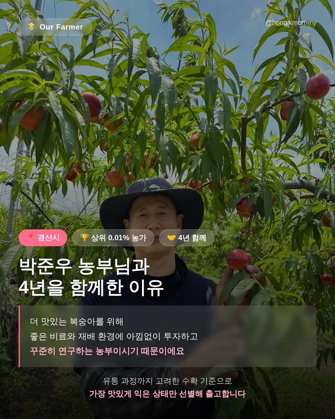 시스루 셔츠 9