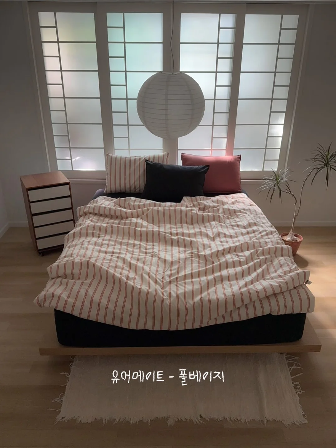 수납 11