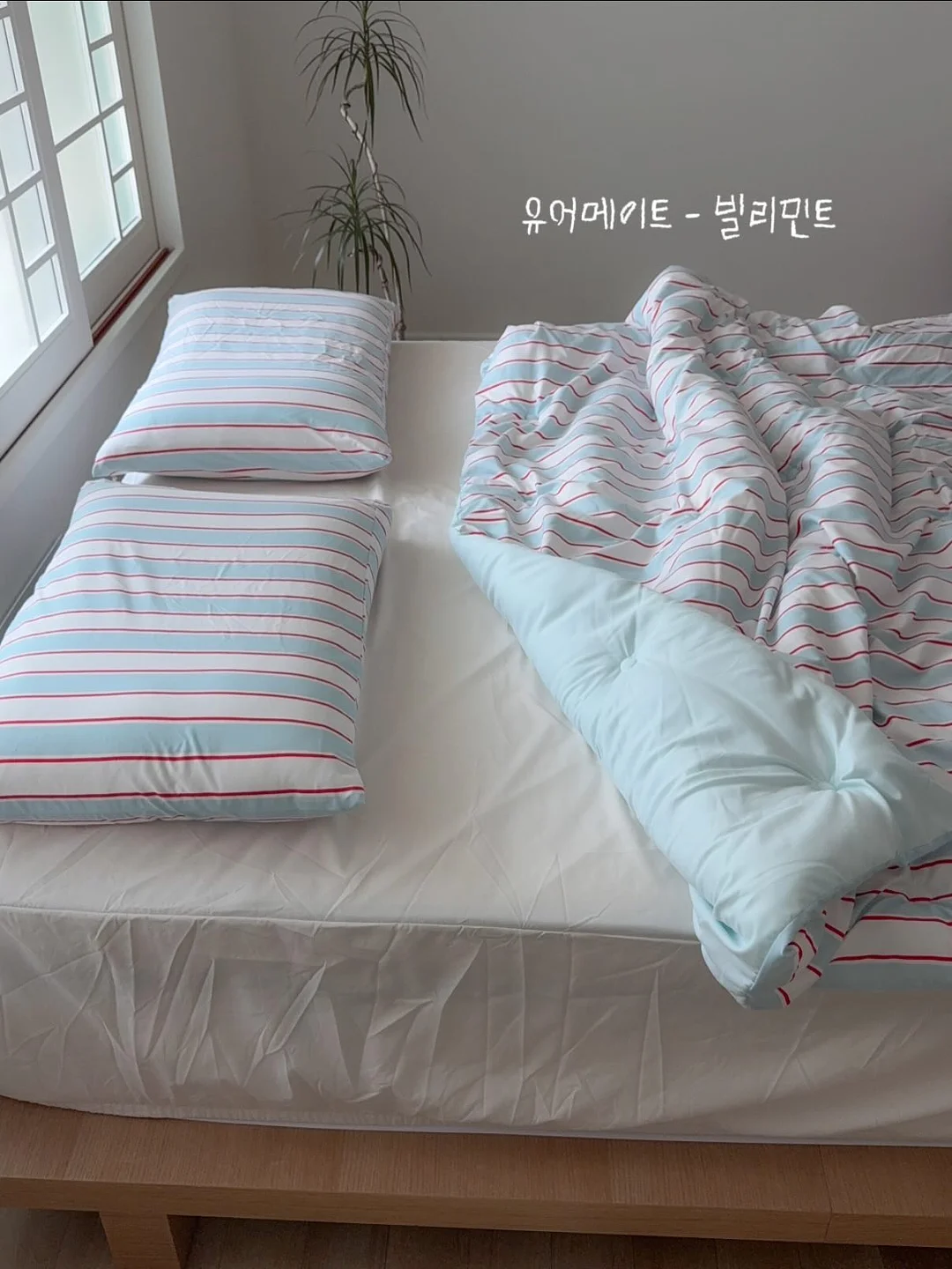수납 9